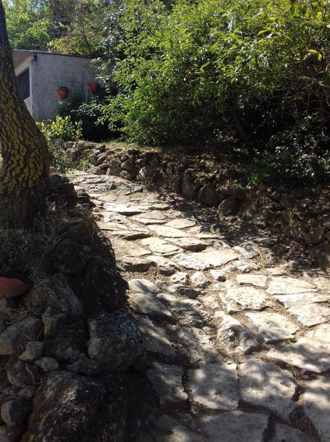 Casinha De Campo- Quintinha Dos Cavalos- Arruda Dos Vinhos Zewnętrze zdjęcie