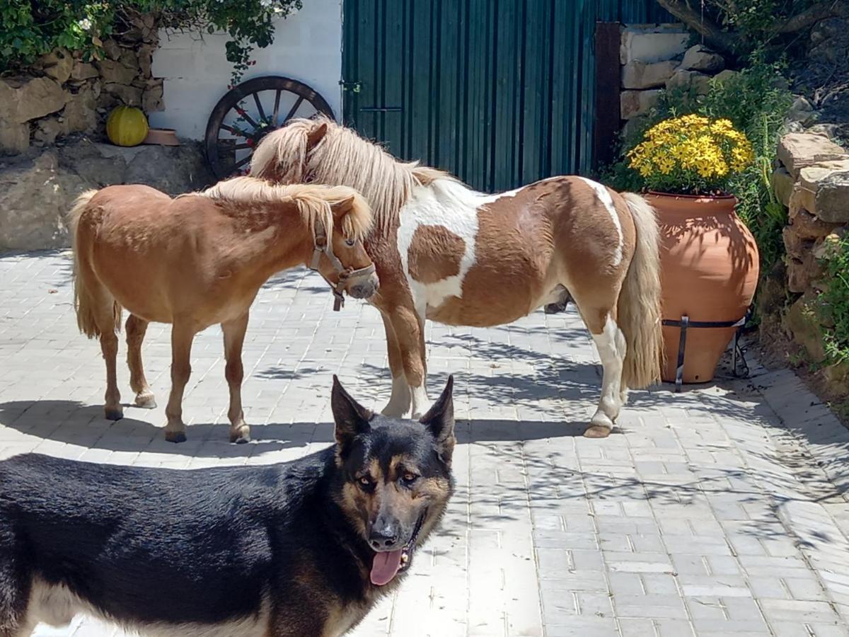 Casinha De Campo- Quintinha Dos Cavalos- Arruda Dos Vinhos Zewnętrze zdjęcie