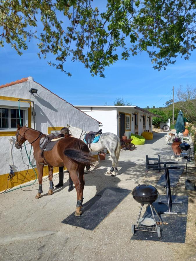 Casinha De Campo- Quintinha Dos Cavalos- Arruda Dos Vinhos Zewnętrze zdjęcie